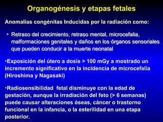 Organogénesis y etapas fetales
Anomalías congénitas Inducidas por la radiación como:
• Retraso del crecimiento, retraso mental, microcefalia,
malformaciones genitales y daños en los órganos sensoriales
que pueden conducir a la muerte neonatal
•Exposición del útero a dosis > 100 mGy a mostrado un
incremento significativo en la incidencia de microcefalia
(Hiroshima y Nagasaki)
•Radiosensibilidad fetal disminuye con la edad de
gestación, aunque la irradiación del feto (> 6 semanas)
puede causar alteraciones óseas, cáncer o trastorno
funcional en la infancia, o la esterilidad en una etapa
posterior.
 