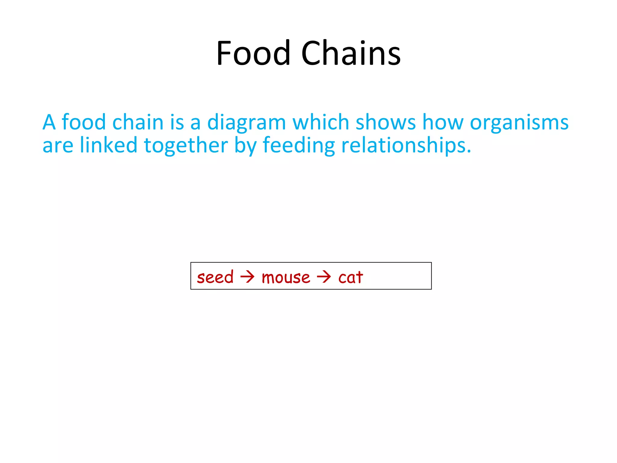 Food Chains
A food chain is a diagram which shows how organisms
are linked together by feeding relationships.
seed  mouse  cat
 
