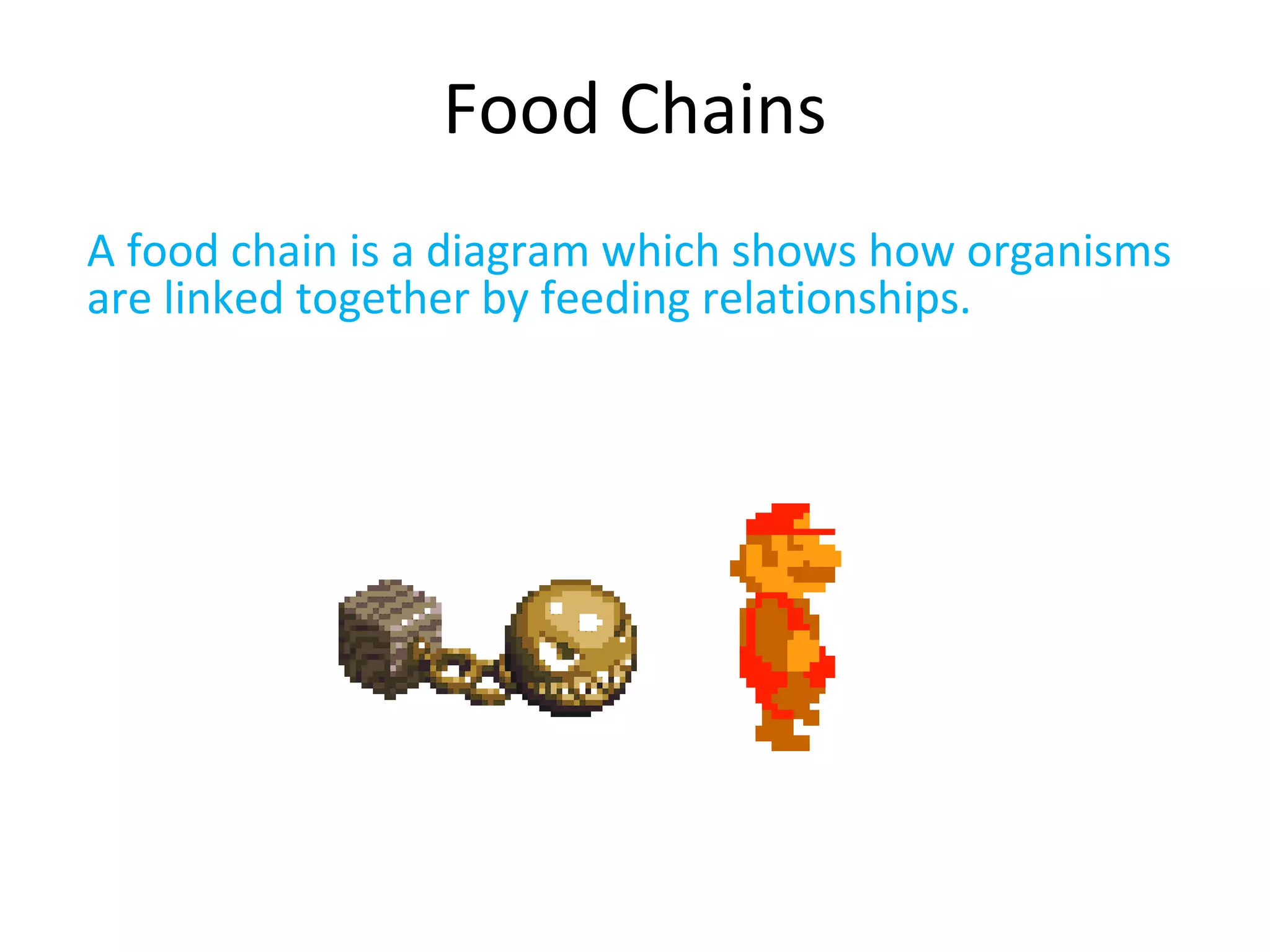 Food Chains
A food chain is a diagram which shows how organisms
are linked together by feeding relationships.
 