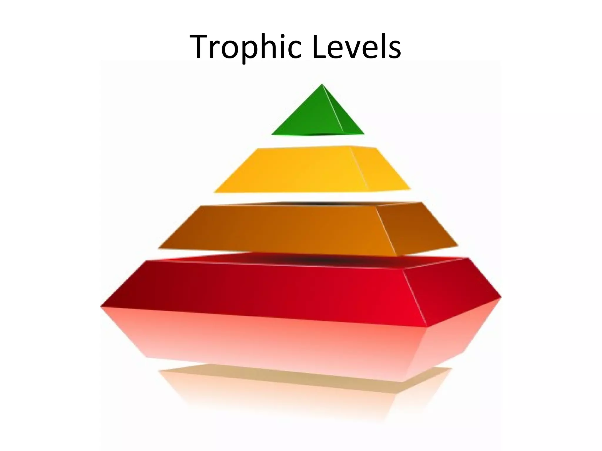 Trophic Levels
 