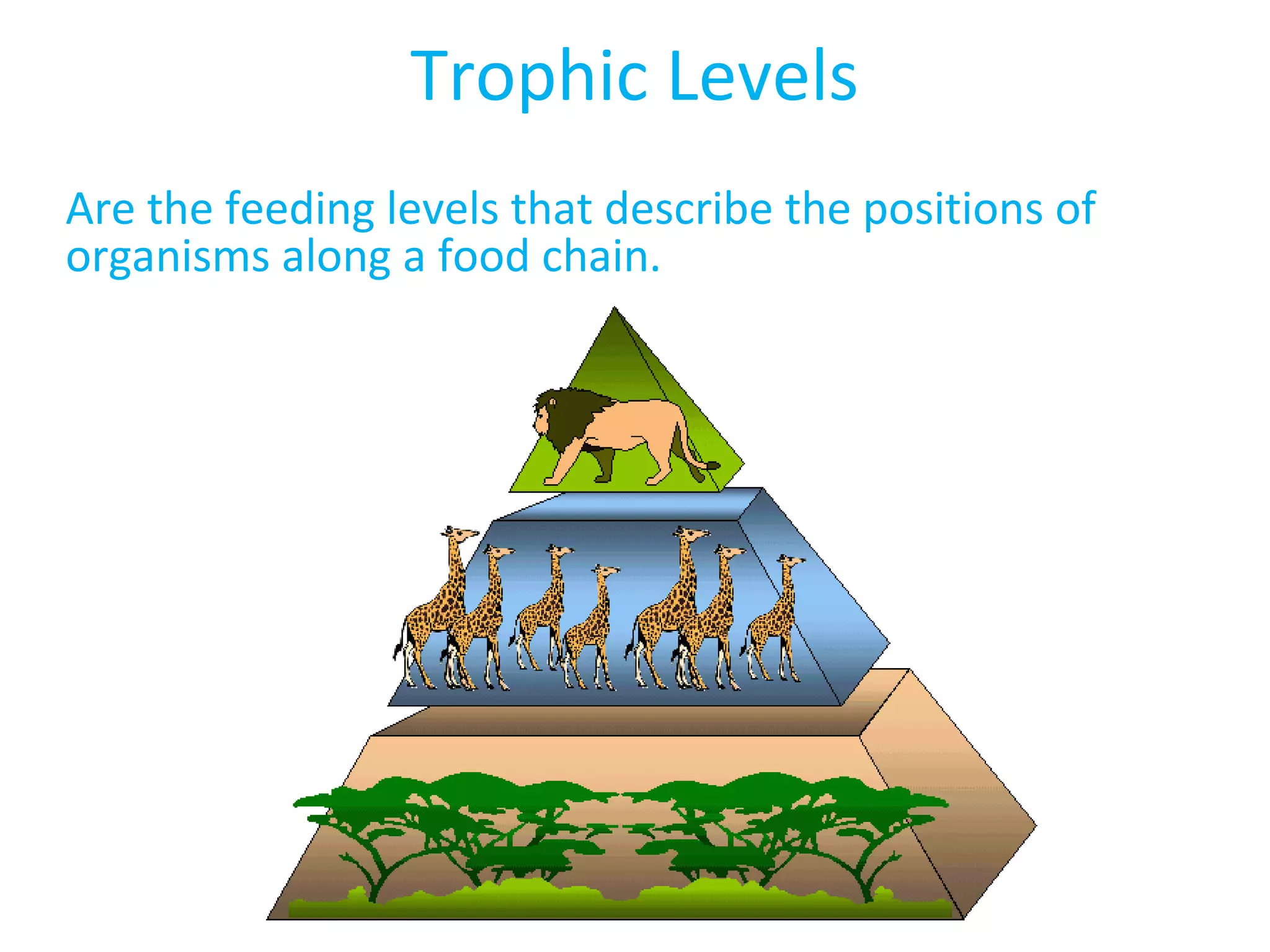 Trophic Levels
Are the feeding levels that describe the positions of
organisms along a food chain.
 