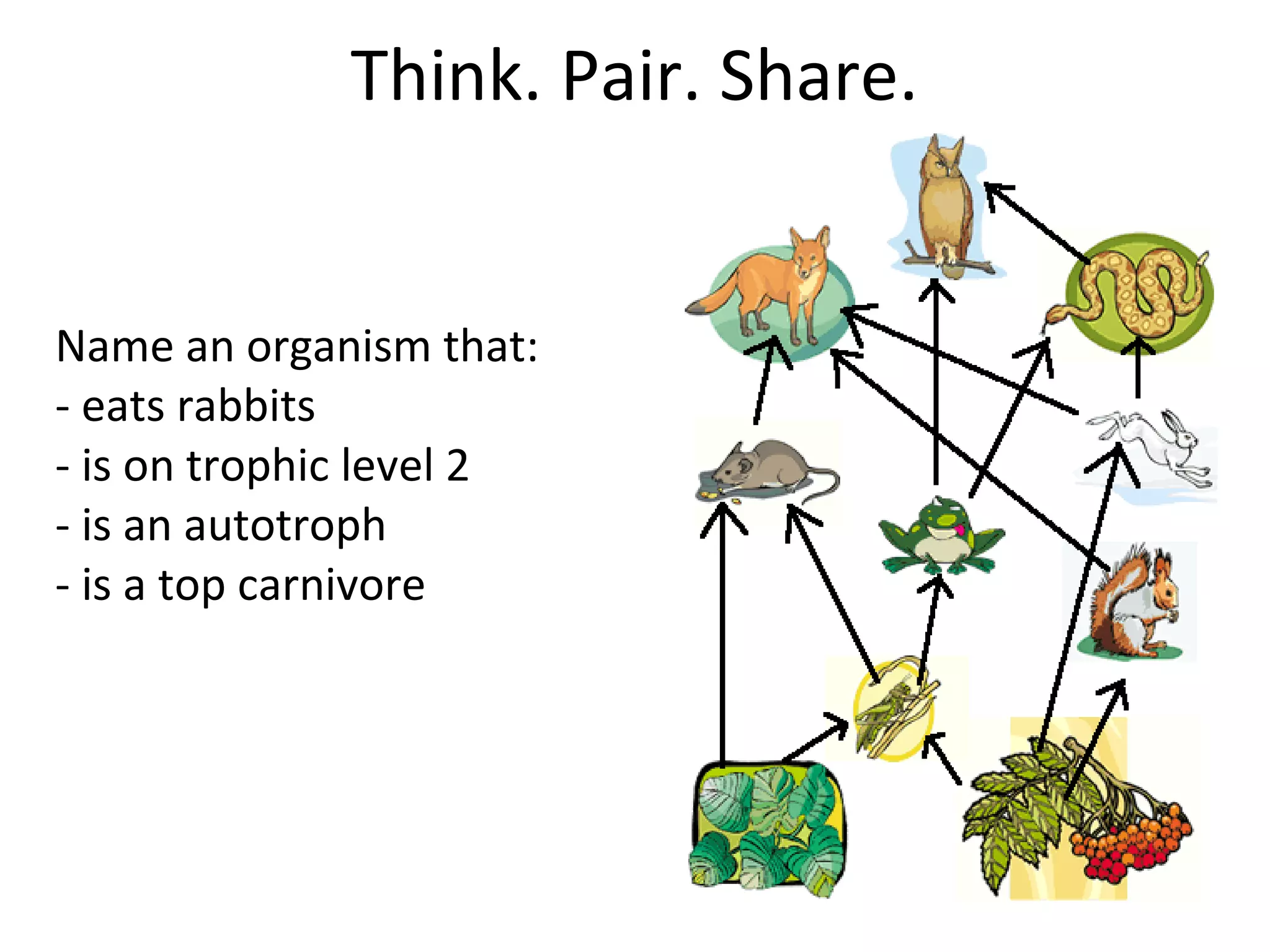 Name an organism that:
- eats rabbits
- is on trophic level 2
- is an autotroph
- is a top carnivore
Think. Pair. Share.
 