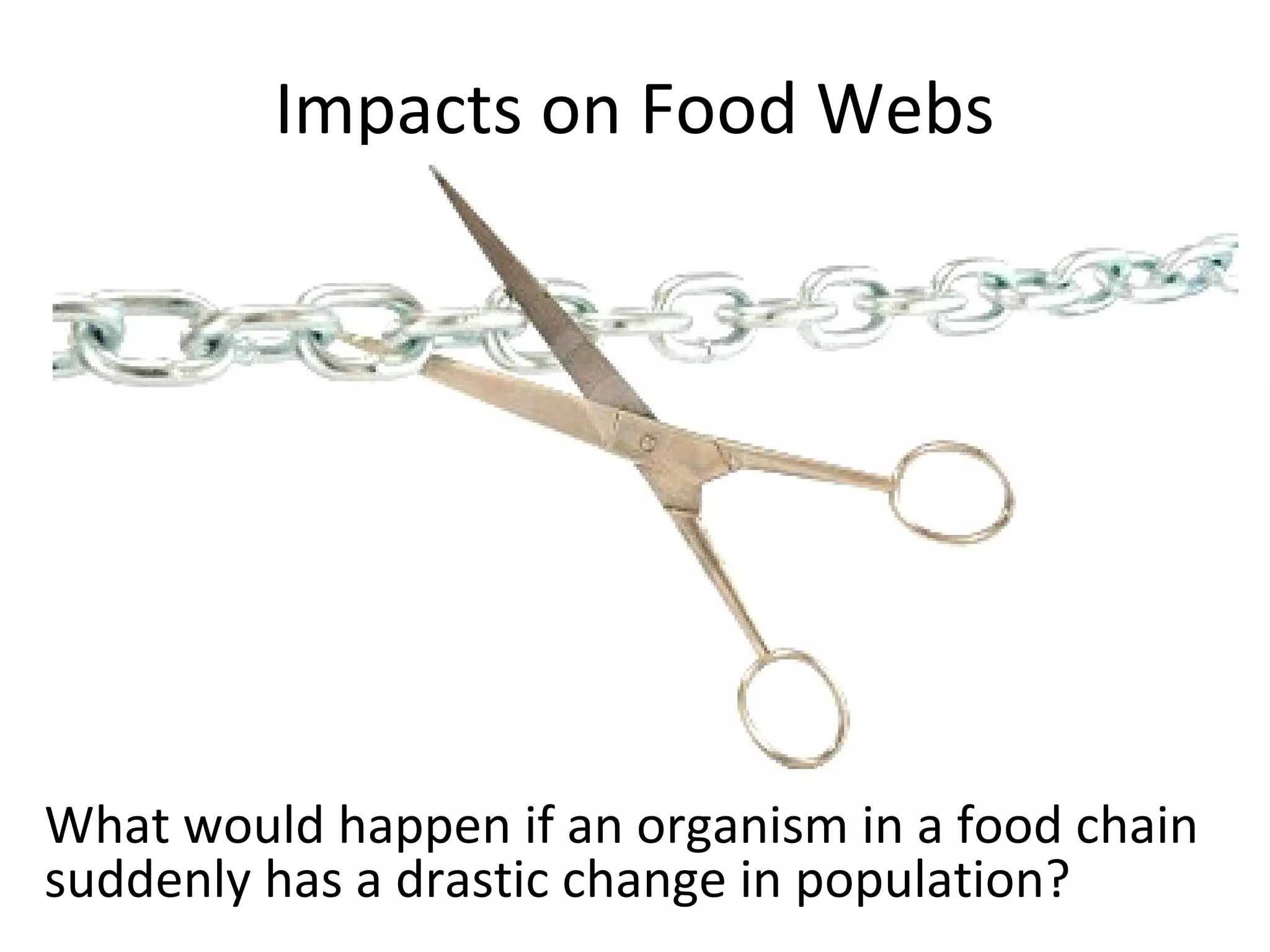 Impacts on Food Webs
What would happen if an organism in a food chain
suddenly has a drastic change in population?
 