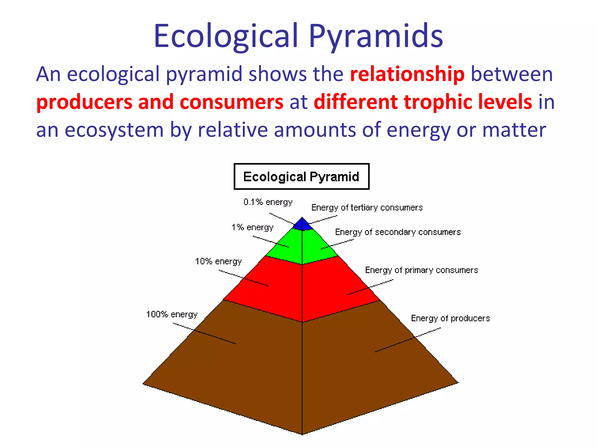 Ecological Pyramids
An ecological pyramid shows the relationship between
producers and consumers at different trophic levels in
an ecosystem by relative amounts of energy or matter
 