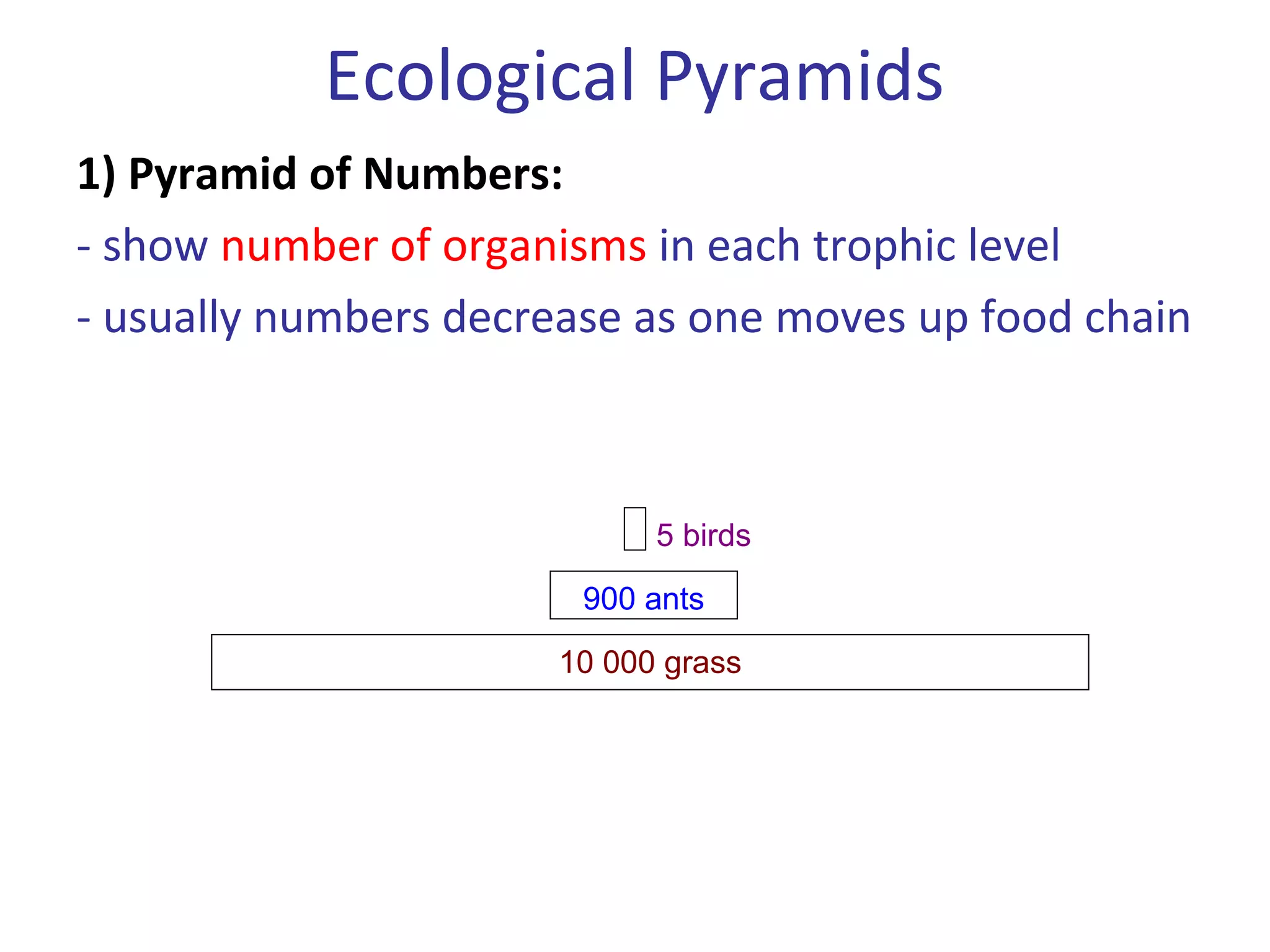 1) Pyramid of Numbers:
- show number of organisms in each trophic level
- usually numbers decrease as one moves up food chain
10 000 grass
900 ants
5 birds
Ecological Pyramids
 