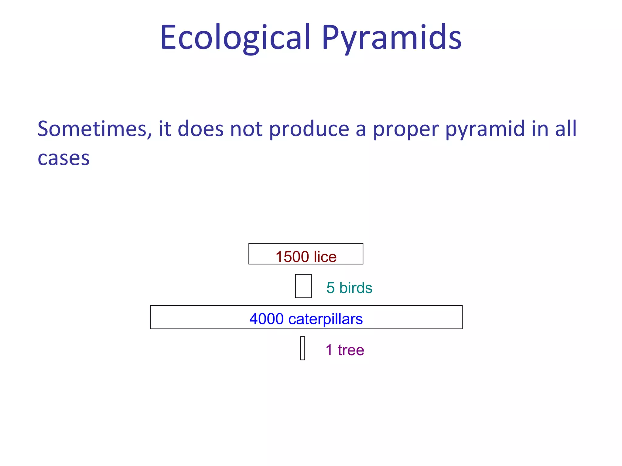 Sometimes, it does not produce a proper pyramid in all
cases
1500 lice
4000 caterpillars
1 tree
5 birds
Ecological Pyramids
 