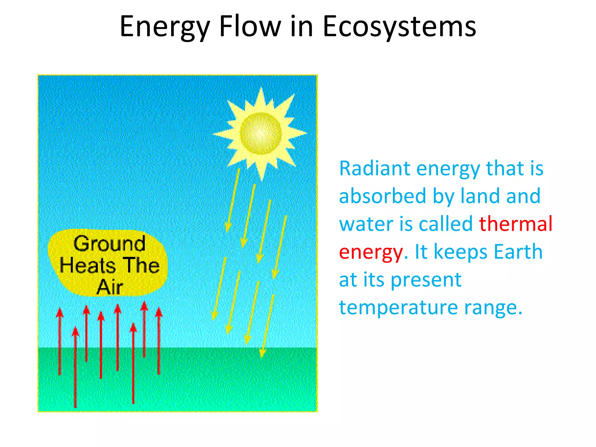 Energy Flow in Ecosystems
Radiant energy that is
absorbed by land and
water is called thermal
energy. It keeps Earth
at its present
temperature range.
 