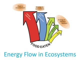 Energy Flow in Ecosystems
 