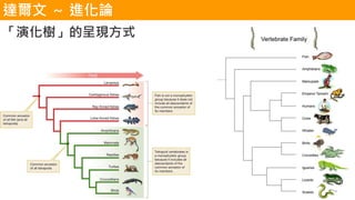 ݻ䡹ĳʬFʽ
_  MՓ
 