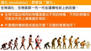 ݻ (evolution)ԭ顸׃
? ͬN׃ͬNͬNҲ
ϝuuڅơ
? ʲNӵęC@Щ׃׃xΣ
ݻȺһһzԠϵĸ׃
 