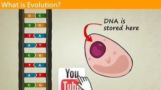 https://youtu.be/GhHOjC4oxh8
What is Evolution?
 