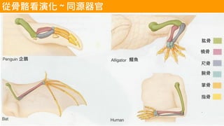 Ź

߹

ƹ
ָ
{~Z
ӹݻ ~ ͬԴ
 