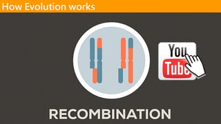 https://youtu.be/hOfRN0KihOU
How Evolution works
 