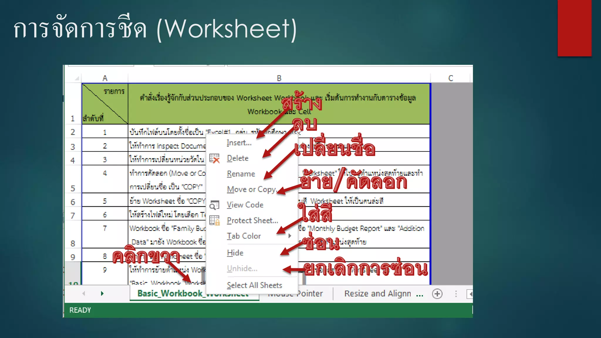 การจัดการชีด (Worksheet)
 