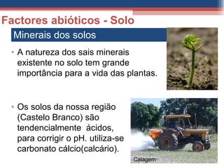 Minerais dos solos Factores abióticos - Solo A natureza dos sais minerais existente no solo tem grande importância para a vida das plantas. Os solos da nossa região (Castelo Branco) são tendencialmente  ácidos, para corrigir o pH. utiliza-se carbonato cálcio(calcário). Calagem 