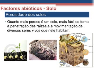Porosidade dos solos Factores abióticos - Solo Quanto mais poroso é um solo, mais fácil se torna a penetração das raízes e a movimentação de diversos seres vivos que nele habitam. 