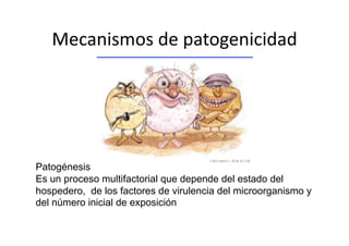 Mecanismos de patogenicidad 




Patogénesis
Es un proceso multifactorial que depende del estado del
hospedero, de los factores de virulencia del microorganismo y
del número inicial de exposición
 