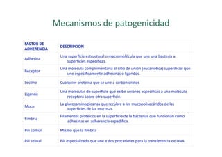 Mecanismos de patogenicidad 

FACTOR DE 
                DESCRIPCION 
ADHERENCIA 
                Una superﬁcie estructural o macromolécula que une una bacteria a 
Adhesina 
                   superﬁcies especíﬁcas. 
                Una molécula complementaria al si>o de unión (eucario>ca) superiﬁcial que 
Receptor 
                   une especiﬁcamente adhesinas o ligandos. 

Lec>na          Cualquier proteina que se une a carbohidratos 

                Una moléculas de superﬁcie que exibe uniones especiﬁcas a una molecula 
Ligando 
                   receptora sobre otra superﬁcie. 
                La glucosaminoglicanas que recubre a los mucopolisacáridos de las 
Moco 
                    superﬁcies de las mucosas. 
                Filamentos proteicos en la superﬁcie de la bacterias que funcionan como 
Fimbria 
                    adhesinas en adherencia espediﬁca. 

Pili común      Mismo que la ﬁmbria 

Pili sexual     Pili especializado que une a dos procariotes para la transferencia de DNA 
 