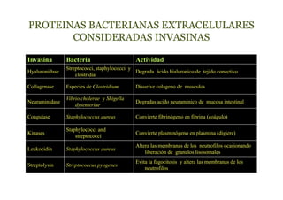 PROTEINAS BACTERIANAS EXTRACELULARES
       CONSIDERADAS INVASINAS

Invasina        Bacteria                      Actividad
                Streptococci, staphylococci y
Hyaluronidase                                 Degrada ácido hialuronico de tejido conectivo
                    clostridia

Collagenase     Especies de Clostridium       Disuelve colageno de musculos

                Vibrio cholerae y Shigella
Neuraminidase                                 Degradas acido neuraminico de mucosa intestinal
                    dysenteriae

Coagulase       Staphylococcus aureus         Convierte fibrinógeno en fibrina (coágulo)

                Staphylococci and
Kinases                                       Convierte plasminógeno en plasmina (digiere)
                    streptococci
                                              Altera las membranas de los neutrofilos ocasionando
Leukocidin      Staphylococcus aureus
                                                  liberación de granulos lisosomales
                                              Evita la fagocitosis y altera las membranas de los
Streptolysin    Streptococcus pyogenes
                                                  neutrofilos
 