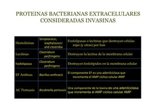 PROTEINAS BACTERIANAS EXTRACELULARES
       CONSIDERADAS INVASINAS


                 Streptococci, 
                                         Fosfolipasas o lecitinas que destruyen células
Hemolisinas          staphylococci 
                                            rojas (y otras) por lisis
                     and clostridia  
                 Clostridium 
Lecitinas                                Destruyen la lectina de la membrana celular
                     perfringens 
                 Clostridium 
Fosfolipasas                             Destruyen fosfolípidos en la membrana celular
                     perfringens 

                                         El componente EF es una adenilciclasa que 
EF Anthrax       Bacillus anthracis 
                                             incrementa el AMP cíclico celular AMP  


                                         Una componente de la toxina es una adenilciclasa
AC Pertussis     Bordetella pertussis 
                                         que incrementa el AMP cíclico celular AMP 
 