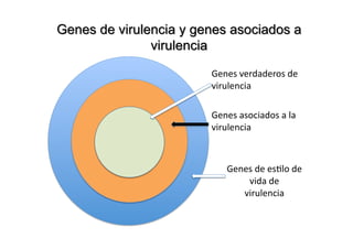 Genes verdaderos de 
virulencia 

Genes asociados a la 
virulencia 



   Genes de es>lo de 
       vida de         
      virulencia 
 