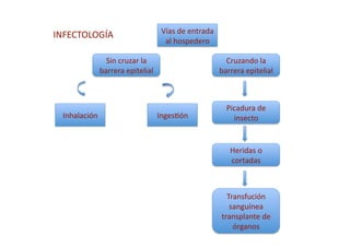 Vías de entrada 
INFECTOLOGÍA 
                                  al hospedero 

             Sin cruzar la                            Cruzando la 
           barrera epitelial                        barrera epitelial 



                                                      Picadura de 
 Inhalación                     Inges>ón                insecto 


                                                       Heridas o 
                                                       cortadas 



                                                      Transfución 
                                                       sanguínea 
                                                    transplante de 
                                                        órganos 
 
