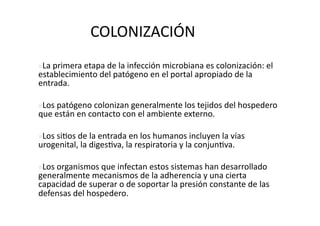  COLONIZACIÓN  
 La primera etapa de la infección microbiana es colonización: el 
 
establecimiento del patógeno en el portal apropiado de la 
entrada.  

 Los patógeno colonizan generalmente los tejidos del hospedero 
 
que están en contacto con el ambiente externo.  

 Los si>os de la entrada en los humanos incluyen la vías 
 
urogenital, la diges>va, la respiratoria y la conjun>va. 

 Los organismos que infectan estos sistemas han desarrollado 
 
generalmente mecanismos de la adherencia y una cierta 
capacidad de superar o de soportar la presión constante de las 
defensas del hospedero.  
 