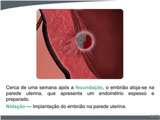 Cerca de uma semana após a fecundação, o embrião aloja-se na
parede uterina, que apresenta um endométrio espesso e
preparado.
Nidação — Implantação do embrião na parede uterina.
6/18
 