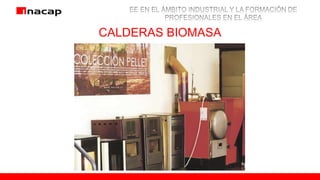 CALDERAS BIOMASA
 