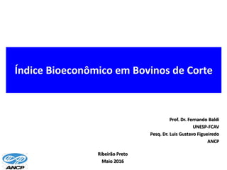 Índice Bioeconômico em Bovinos de Corte
Ribeirão Preto
Maio 2016
Prof. Dr. Fernando Baldi
UNESP-FCAV
Pesq. Dr. Luis Gustavo Figueiredo
ANCP
 