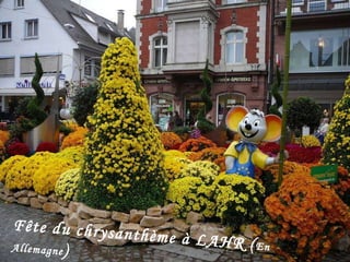 Fête du chrysanthème à LAHR ( En Allemagne ) 