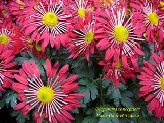 Diaporama conception: Marie-Odile et Francis 