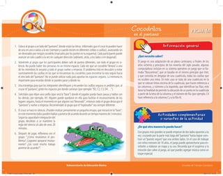 Subsecretaría de Educación Básica Escuelas de Tiempo Completo
¿Qué necesito saber?
El juego es una adaptación de un plano cartesiano; a finales de los
años ochenta y principios de los noventa del siglo pasado, algunas
computadoras incluían en su sistema operativo un juego que se lla-
maba “Buscaminas”, que se basaba en el mismo principio que éste,
y que consistía en despejar de una cuadrícula, todas las casillas que
no oculten una mina. En este caso se trata de una cuadrícula en la
que se colocan letras encima de la cuadricula, que hacen referencia a
las columnas, y números a la izquierda, que identifican las filas; esto
tiene la finalidad de permitir la ubicación de un punto en la cuadrícula
a partir de la letra de la columna y el número de fila (por ejemplo, C4
hace referencia a la columna C y a la fila 4).
Información general
¿De qué otra manera lo puedo hacer?
Con grupos más grandes se puede empezar de dos lados opuestos a la
vez, cruzando por la parte más larga del“pantano”hasta lograr cons-
truir un“puente seguro”que una ambos lados. En el caso de trabajar
con niños menores de 10 años, el juego puede aprovecharse para en-
señarles a elaborar un mapa y su uso. Recuerda que el suspenso y la
emoción dan sabor al juego, así que puedes agregar música como un
toque especial.
Actividades complementarias
o variantes de la actividad
en el pantano
Cocodrilos
1. Coloca al grupo a un lado del“pantano”, donde están las letras. Infórmales que el cruce lo pueden hacer
de uno en uno o varios a la vez (siempre y cuando inicien en diferentes celdas o casillas), avanzando sin
serdevorados por ningún cocodrilo (marcadosporlospuntosen tuesquema). Cada participantepuede
avanzar un solo cuadro a la vez en cualquier dirección (adelante, atrás, a los lados o en diagonal).
2. Adviértele al grupo que los participantes deben salir de puntos diferentes, con todo el grupo en si-
lencio. No puede haber dos personas en un mismo espacio. Cada vez que un cocodrilo“devora”a uno
de los miembros le avisarás y todo el grupo vuelve a empezar. El problema está en descubrir y evitar
sucesivamente las casillas en las que se encuentran los cocodrilos, para encontrar la ruta segura hacia
el otro lado del“pantano”. No se puede utilizar nada para apuntar los espacios seguros. La memoria es
importante para recordar dónde se pueden parar y dónde no.
3. Una estrategia para que los integrantes identifiquen y recuerden las casillas seguras es pedirles que, al
cruzar el“pantano”, griten los espacios por donde caminan (por ejemplo:“B2, C2, C3, D4…”).
4. Solicítales que elijan una casilla (que será la“base”) donde el jugador pueda hacer pausa y hablar con
los demás; por ejemplo, A9. Alguien puede quedarse en ella para facilitar el reconocimiento de los
lugares seguros, hasta el momento en que alguien sea“devorado”; entonces todo el grupo desocupa el
“pantano”y vuelve a empezar. Recomiéndale al grupo que el“explorador”sea siempre diferente.
5. El cruce se hará en silencio. (Pueden realizar previamente un pequeño ensayo, que iniciará en la“base”;
enestemomentotodospuedenhablaryponersedeacuerdoduranteuntiempomáximode3minutos).
Segúnlacapacidadeintegracióndel
grupo, decidirán si se mantiene la
regla del silencio al cabo de unos 20
minutos.
6. Después de jugar, reﬂexiona con el
grupo: “¿Cómo resolvieron el pro-
blema? ¿Lograron apoyarse mutua-
mente? ¿Les costó mucho trabajo
ponerse de acuerdo?”.
FICHA 18
04B_Fichero_Vida_FINAL.indd 38 28/11/13 12:16
 