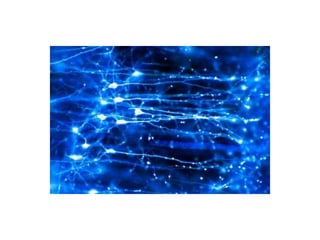 New Frontiers: Optogenetics - I-han Chou 