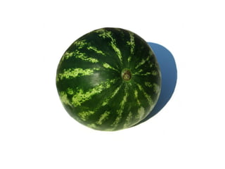 New Frontiers: Optogenetics - I-han Chou 