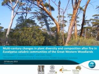 Multi-century changes in plant diversity and composition after fire in
Eucalyptus salubris communities of the Great Western Woodlands
Carl Gosper1,2, Suzanne Prober2 and Colin Yates1
1Department of Environment & Conservation; 2CSIRO Ecosystem Sciences

 19 February 2013
 