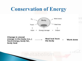 Transfer of energy in human body | PPTX