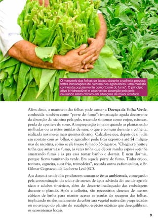 9
O manuseio das folhas de tabaco durante a colheita provoca
fortes intoxicações de nicotina nos agricultores, uma moléstia
conhecida popularmente como “porre do fumo”. O princípio
ativo é hidrosolúvel e passível de absorção pela pele,
causando efeito crônico em situações de maior umidade
Além disso, o manuseio das folhas pode causar a Doença da Folha Verde,
conhecida também como “porre do fumo”: intoxicação aguda decorrente
da absorção da nicotina pela pele, trazendo sintomas como enjoo, náuseas,
perda do apetite e do sono. A impregnação é maior quando as plantas estão
molhadas ou as mãos úmidas de suor, o que é comum durante a colheita,
realizada nos meses mais quentes do ano. Calcula-se que, depois de um dia
em contato com as folhas, o agricultor pode ficar exposto a até 54 miligra-
mas de nicotina, como se ele tivesse fumado 36 cigarros. “Chegava à noite e
tinha que amarrar o fumo, às vezes tinha que deixar minha esposa sozinha
amarrando fumo e ia pra casa tomar banho e dormir. E nem dormia,
porque ficava vomitando verde. Era aquele porre de fumo. Tinha enjoo,
tontura, cegueira, suor frio, tremedeira”, recorda outro ex-fumicultor, o Sr.
Gilmar Cognacco, de Leoberto Leal (SC).
Aos danos à saude dos produtores somam-se ônus ambientais, começando
pela contaminação do solo e de cursos de água advinda do uso de agrotó-
xicos e adubos sintéticos, além do descarte inadequado das embalagens
durante o plantio. Após a colheita, são necessários dezenas de metros
cúbicos de lenha para manter acesas as estufas de secagem das folhas,
implicando no desmatamento da cobertura vegetal nativa das propriedades
ou no avanço do plantio de eucalipto, espécies exóticas que desequilibram
os ecossistemas locais.
 