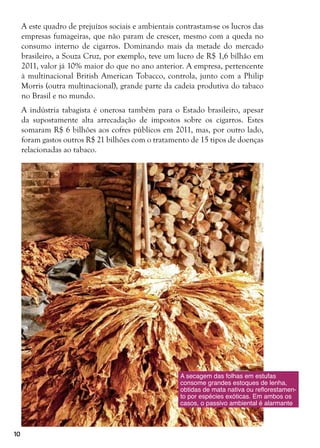 10
A este quadro de prejuízos sociais e ambientais contrastam-se os lucros das
empresas fumageiras, que não param de crescer, mesmo com a queda no
consumo interno de cigarros. Dominando mais da metade do mercado
brasileiro, a Souza Cruz, por exemplo, teve um lucro de R$ 1,6 bilhão em
2011, valor já 10% maior do que no ano anterior. A empresa, pertencente
à multinacional British American Tobacco, controla, junto com a Philip
Morris (outra multinacional), grande parte da cadeia produtiva do tabaco
no Brasil e no mundo.
A indústria tabagista é onerosa também para o Estado brasileiro, apesar
da supostamente alta arrecadação de impostos sobre os cigarros. Estes
somaram R$ 6 bilhões aos cofres públicos em 2011, mas, por outro lado,
foram gastos outros R$ 21 bilhões com o tratamento de 15 tipos de doenças
relacionadas ao tabaco.
A secagem das folhas em estufas
consome grandes estoques de lenha,
obtidas de mata nativa ou reflorestamen-
to por espécies exóticas. Em ambos os
casos, o passivo ambiental é alarmante
 