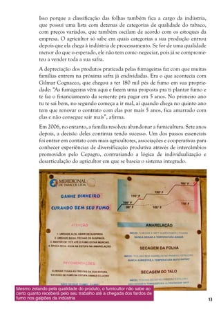 13
Isso porque a classificação das folhas também fica a cargo da indústria,
que possui uma lista com dezenas de categorias de qualidade do tabaco,
com preços variados, que também oscilam de acordo com os estoques da
empresa. O agricultor só sabe em quais categorias a sua produção entrou
depois que ela chega à indústria de processamento. Se for de uma qualidade
menor do que o esperado, ele não tem como negociar, pois já se comprome-
teu a vender toda a sua safra.
A depreciação dos produtos praticada pelas fumageiras faz com que muitas
famílias entrem na próxima safra já endividadas. Era o que acontecia com
Gilmar Cognacco, que chegou a ter 180 mil pés de fumo em sua proprie-
dade: “As fumageiras vêm aqui e fazem uma proposta pra ti plantar fumo e
te faz o financiamento da semente pra pagar em 5 anos. No primeiro ano
tu te sai bem, no segundo começa a ir mal, aí quando chega no quinto ano
tem que renovar o contrato com elas por mais 5 anos, fica amarrado com
elas e não consegue sair mais”, afirma.
Em 2006, no entanto, a família resolveu abandonar a fumicultura. Sete anos
depois, a decisão deles continua tendo sucesso. Um dos passos essenciais
foi entrar em contato com mais agricultores, associações e cooperativas para
conhecer experiências de diversificação produtiva através de intercâmbios
promovidos pelo Cepagro, contrariando a lógica de individualização e
desarticulação do agricultor em que se baseia o sistema integrado.
Mesmo zelando pela qualidade do produto, o fumicultor não sabe ao
certo quanto receberá pelo seu trabalho até a chegada dos fardos de
fumo nos galpões da indústria
 