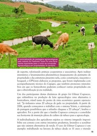 19
A racionalização de pastagens agroecológicas
pelo método do Pastoreio Voisin foi uma ferra-
menta importante para o início da conversão
agroecológica em propriedades do território
de suporte, valorizando práticas cooperativas e associativas. Após realizar
inventários e levantamentos planimétricos (mapeamento do perímetro da
propriedade e das estruturas presentes nela, como construções, nascentes e
bosques), o GPVoisin elaborou as propostas, que foram implantadas com
acompanhamento técnico do Cepagro, que também promoveu intercâm-
bios em que os fumicultores puderam conhecer outras propriedades em
que a diversificação já era realidade.
Um dos participantes destas dinâmicas de grupo foi Gilmar Cognacco,
que vislumbrou na produção de leite agroecológico uma alternativa à
fumicultura, viável tanto do ponto de vista econômico quanto operacio-
nal. “Já tínhamos umas 20 cabeças de gado na propriedade. A partir de
2006, quando começamos a trabalhar com o sistema Voisin, a otimização
da pastagem possibilitou que o rebanho chegasse a 70 cabeças”, lembra o
agricultor. Foi a partir daí que a família Cognacco começou a consolidar
seu horizonte de transição plena do cultivo de tabaco para a agroecologia.
A individualização dos agricultores sujeitos ao sistema integrado impossi-
bilita seu contato com outras iniciativas produtivas, levando-o a acreditar
que não existem alternativas de renda. O caso de Gilmar Cognacco é um
exemplo: trabalhando na lavoura de tabaco desde os 11 anos e vivendo
 