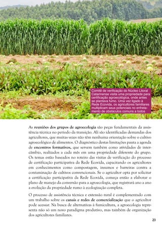 23
As reuniões dos grupos de agroecologia são peças fundamentais da assis-
tência técnica no período da transição. Ali são identificadas demandas dos
agricultores, que muitas vezes não têm nenhuma orientação sobre o cultivo
agroecológico de alimentos. O diagnóstico destas limitações pauta a agenda
de encontros formativos, que servem também como atividades de inter-
câmbio, realizados a cada mês em uma propriedade diferente do grupo.
Os temas estão baseados no roteiro das visitas de verificação do processo
de certificação participativa da Rede Ecovida, capacitando os agricultores
em conhecimentos como compostagem, insumos e barreiras contra a
contaminação de cultivos convencionais. Se o agricultor opta por solicitar
a certificação participativa da Rede Ecovida, começa então a elaborar o
plano de manejo da conversão para a agroecologia, que registrará ano a ano
a evolução da propriedade rumo à ecologização completa.
O processo de assistência técnica e extensão rural é complementado com
um trabalho sobre os canais e redes de comercialização que o agricultor
pode acessar. Na busca de alternativas à fumicultura, a agroecologia repre-
senta não só um novo paradigma produtivo, mas também de organização
dos agricultores familiares.
Comitê de verificação do Núcleo Litoral
Catarinense visita uma propriedade para
certificação agroecológica, onde antes
se plantava fumo. Uma vez ligado à
Rede Ecovida, os agricultores familiares
multiplicam seus potenciais no enfreta-
mento de obstáculos comuns a todos
 