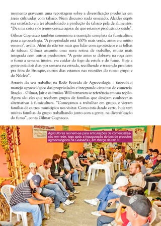 28
Agricultores reúnem-se para articulações de comercializa-
ção em rede, logo após a inauguração do box de produtos
agroecológicos na Ceasa/SC, em março de 2013
momento gravavam uma reportagem sobre a diversificação produtiva em
áreas cultivadas com tabaco. Num discurso nada ensaiado, Alcides expôs
sua satisfação em ter abandonado a produção de tabaco pela de alimentos:
“De uma coisa nós temos certeza agora: de que estamos produzindo saúde”.
Gilmar Cognacco também comemora a transição completa da fumicultura
para a agroecologia. “A propriedade está 100% mais verde, antes era muito
veneno”, avalia. Além de não ter mais que lidar com agrotóxicos e as folhas
de tabaco, Gilmar assumiu uma nova rotina de trabalho, muito mais
integrada com outros produtores: “A gente antes se dobrava na roça com
o fumo a semana inteira, era cuidar do fogo da estufa e do fumo. Hoje a
gente está dois dias por semana na estrada, recolhendo e trazendo produtos
pra feira de Brusque, outros dias estamos nas reuniões do nosso grupo e
do Núcleo”.
Através do seu trabalho na Rede Ecovida de Agroecologia – fazendo o
manejo agroecológico das propriedades e integrando circuitos de comercia-
lização – Gilmar, Jair e os irmãos Will tornaram-se referência em sua região.
Agora são eles que recebem grupos de famílias que desejam conhecer as
alternativas à fumicultura. “Começamos a trabalhar em grupo, e vieram
famílias de outros municípios nos visitar. Como está dando certo, hoje tem
muitas famílias do grupo trabalhando junto com a gente, na diversificação
do fumo”, conta Gilmar Cognacco.
 
