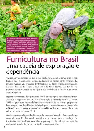 6
Fumicultura no Brasil
uma cadeia de exploração e
dependência
“A minha vida sempre foi no fumo. Trabalhava desde criança com o pai.
Depois casei e continuei.” Criado na lavoura do tabaco junto com seus 12
irmãos, Alcides Vill chegou a ter 60 mil pés de fumo em sua propriedade,
na localidade de Rio Veado, município de Nova Trento. Sua família era
mais uma dentre outras 55 mil que ainda se dedicam à fumicultura só em
Santa Catarina.
Apesar do consumo de cigarros no Brasil ter caído pela metade nos últimos
20 anos – hoje cerca de 15,5% da população é fumante, contra 32% em
1989 – a produção nacional de tabaco não diminuiu na mesma proporção.
Isso porque mais de 85% dela é dirigida para o mercado externo, colocando
o Brasil como o maior exportador mundial de fumo, liderança lamenta-
velmente mantida desde 1993.
As favoráveis condições de clima e solo para o cultivo do tabaco e o baixo
custo da mão de obra rural, somados a incentivos para a instalação de
indústrias processadoras, contribuem para que o Brasil siga no topo do
ranking da produção e exportação de fumo no mundo.
A fumicultura demanda mão de obra
intensiva, geralmente envolvendo
toda a família. Levando em conta a
carga horária e o número de pessoas
em dedicação exclusiva, o balanço
financeiro geralmente é bastante
desfavorável ao pequeno agricultor
 