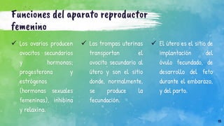 Funciones del aparato reproductor
femenino
 Los ovarios producen
ovocitos secundarios
y hormonas;
progesterona y
estrógenos
(hormonas sexuales
femeninas), inhibina
y relaxina.
 Las trompas uterinas
transportan el
ovocito secundario al
útero y son el sitio
donde, normalmente,
se produce la
fecundación.
 El útero es el sitio de
implantación del
óvulo fecundado, de
desarrollo del feto
durante el embarazo,
y del parto.
15
 