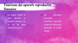 Funciones del aparato reproductor
femenino
✔ La vagina recibe el
pene durante la
relación sexual y es
la vía de paso
durante el parto.
✔ Las glándulas
mamarias
sintetizan, secretan
y eyectan leche para
alimentar al recién
nacido.
16
 