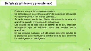 18
Síntesis de estrógenos y progesterona:
• Podemos ver que todos son esteroideos.
• Se sintetizan en los ovarios a partir del colesterol sanguíneo
y acetil coenzima A (en menor cantidad).
• Se ve la interacción de las células foliculares de la teca y la
granulosa para la producción de estrógenos.
• Las células de la teca bajo el control de la LH, producen
andrógenos que se difunden hacia las células de la
granulosa.
• En los folículos maduros, la FSH actúan sobre las células de
la granulosa para estimular la aroma tasa, la cual convierte
los andrógenos en estrógenos.
 