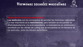 Hormonas sexuales masculinas
Secreción de hormonas masculinas:
Los testículos son los encargados de secretar las hormonas masculinas.
La mas importante es la testosterona, pero también se encuentran la
dihidrotestosterona y la androstenodiona. La testosterona es sintetizada y
secretada por las células de Lyding que se encuentran en el intersticio de
los testículos, entre los túbulos seminíferos.
 