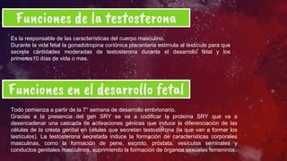 8
Funciones de la testosterona
Es la responsable de las características del cuerpo masculino.
Durante la vida fetal la gonadotropina coriónica placentaria estimula al testículo para que
secrete cantidades moderadas de testosterona durante el desarrollo fetal y los
primeros10 días de vida o mas.
Funciones en el desarrollo fetal
Todo comienza a partir de la 7° semana de desarrollo embrionario.
Gracias a la presencia del gen SRY se va a codificar la proteína SRY que va a
desencadenar una cascada de activaciones génicas que induce la diferenciación de las
células de la cresta genital en células que secretan testosterona (la que van a formar los
testículos). La testosterona secretada induce la formación de características corporales
masculinas, como la formación de pene, escroto, próstata, vesículas seminales y
conductos genitales masculinos, suprimiendo la formación de órganos sexuales femeninos.
 