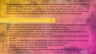 9
La testosterona es responsable del descenso de los testículos que se da durante los últimos 2/3
meses de gestación. Si un bebe nace con los testículos no descendidos pero normales, la
administración de testosterona, e incluso de hormonas gonadotropas (porque estimulan a las
células de Leydig para que secrete testosterona) podrá hacer que los testículos desciendan,
siempre que los conductos inguinales tengan el tamaño suficiente para permitir su paso.
Funciones sobre el desarrollo de caracteres sexuales
Tras la pubertad, el aumento de la secreción de testosterona estimula el aumento de tamaño de
pene, escroto y testículos unas ocho veces antes de los 20 años de edad.
Además intervienen en el desarrollo de los caracteres sexuales secundarios:
• Induce el crecimiento de vello corporal sobre el pubis, en la línea alba hasta el ombligo, en la
cara, el torax y con menos frecuencia, en la espalda.
• Reduce el crecimiento del pelo en la cabeza, aunque esto puede que no pase por una influencia
genética.
• Produce una hipertrofia de la mucosa laríngea y aumento del tamaño de laringe. Primero se da
una voz discorde, que con el pasar del tiempo pasa a ser una voz grave.
• Aumenta el grosor de la piel y la dureza de los tejidos subcutáneos.
• Aumenta la musculatura luego de la pubertad
• Luego de la pubertad, los huesos aumentan de espesor y los depósitos de calcio son altas
 